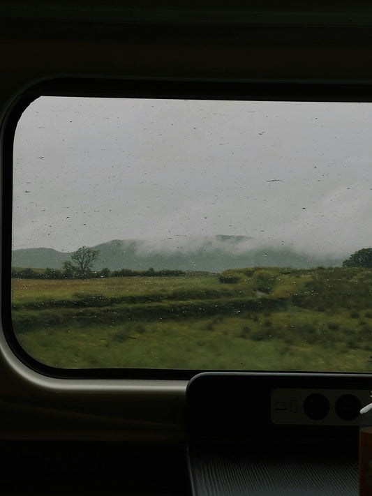 A view of a field from inside a vehicle